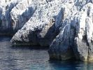 Paxos